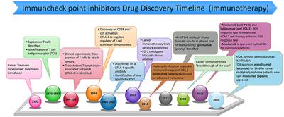 PD-1 and PD-L1 Checkpoint Signaling Inhibition for Cancer Immunotherapy: Mechanism, Combinations, and Clinical Outcome